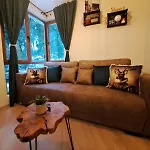 Daire Alpine Pamporovo
