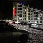 Alpine *