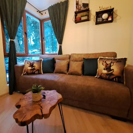 Apartment Alpine Pamporowo