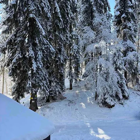 Alpine Apartamento *