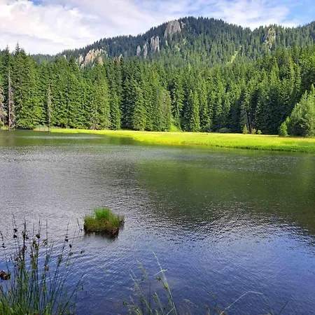 Alpine Pamporovo