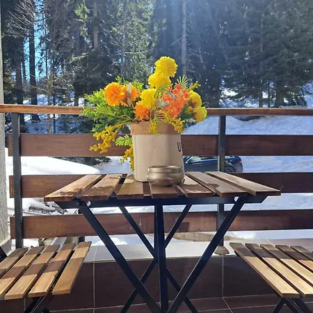 Alpine Pamporovo