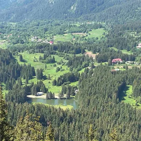 Alpine Daire *