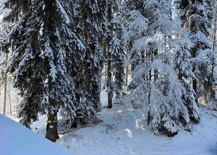 Alpine Apartamento *